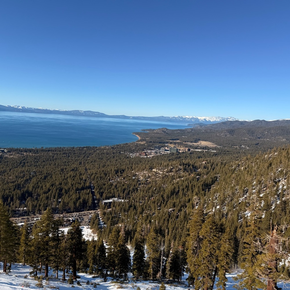 Meet your Posher, Connor